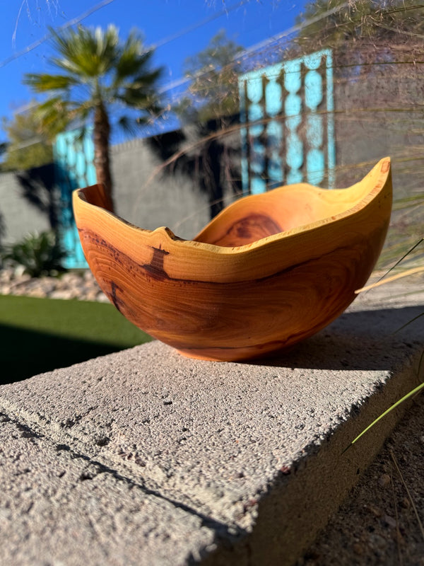 Chinese Elm Natural Rim Vessel #117