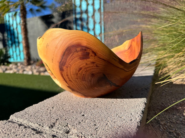 Chinese Elm Natural Rim Vessel #117