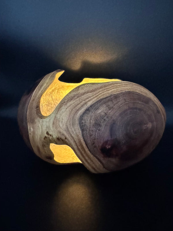 Mesquite Hollow Form Vessel #137