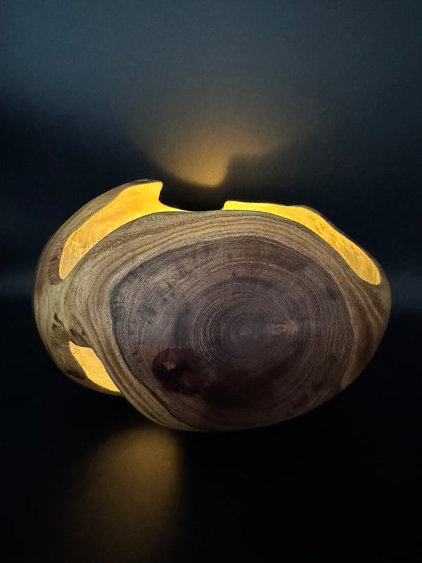 Mesquite Hollow Form Vessel #137