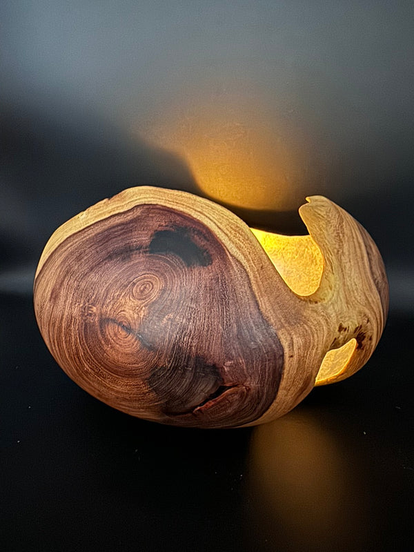 Mesquite Hollow Form Vessel #137