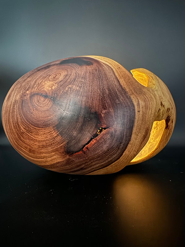 Mesquite Hollow Form Vessel #137