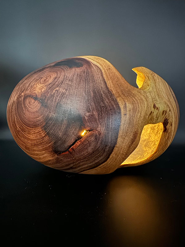 Mesquite Hollow Form Vessel #137