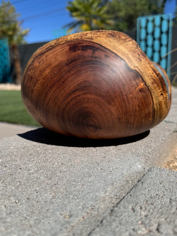 Mesquite Hollow Form Vessel #145