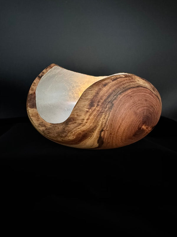 Mesquite Hollow Form Vessel #145