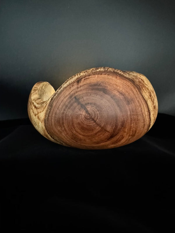 Mesquite Hollow Form Vessel #145