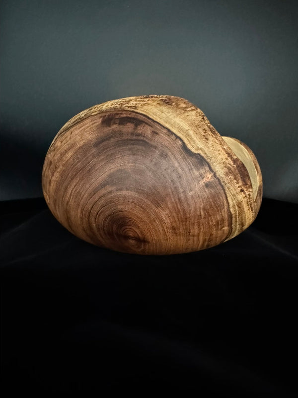 Mesquite Hollow Form Vessel #145