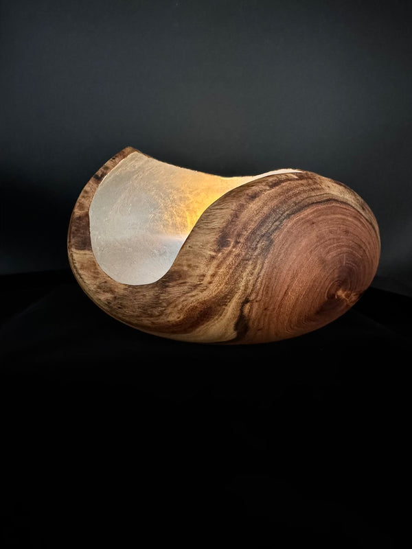 Mesquite Hollow Form Vessel #145